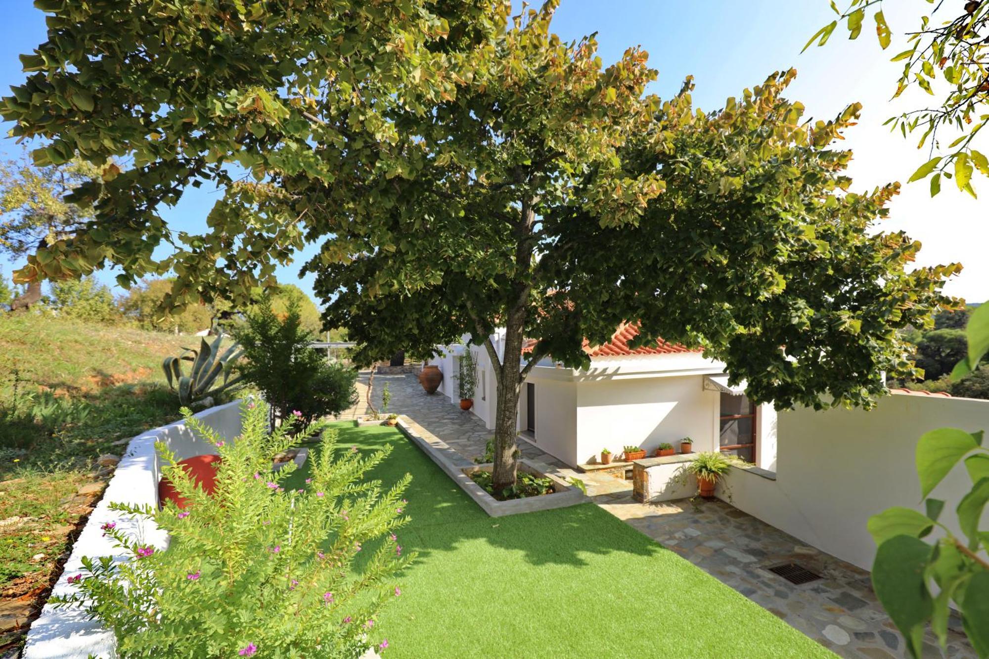Diakopi Villa Skopelos stad Exteriör bild